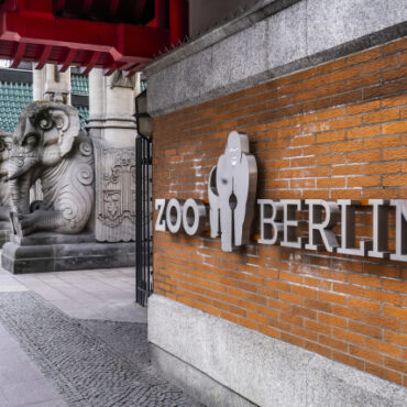 Γερμανία: Κλείνει προσωρινά ο ζωολογικός κήπος του Βερολίνου - Εντοπίστηκαν κρούσματα της γρίπης των πτηνών