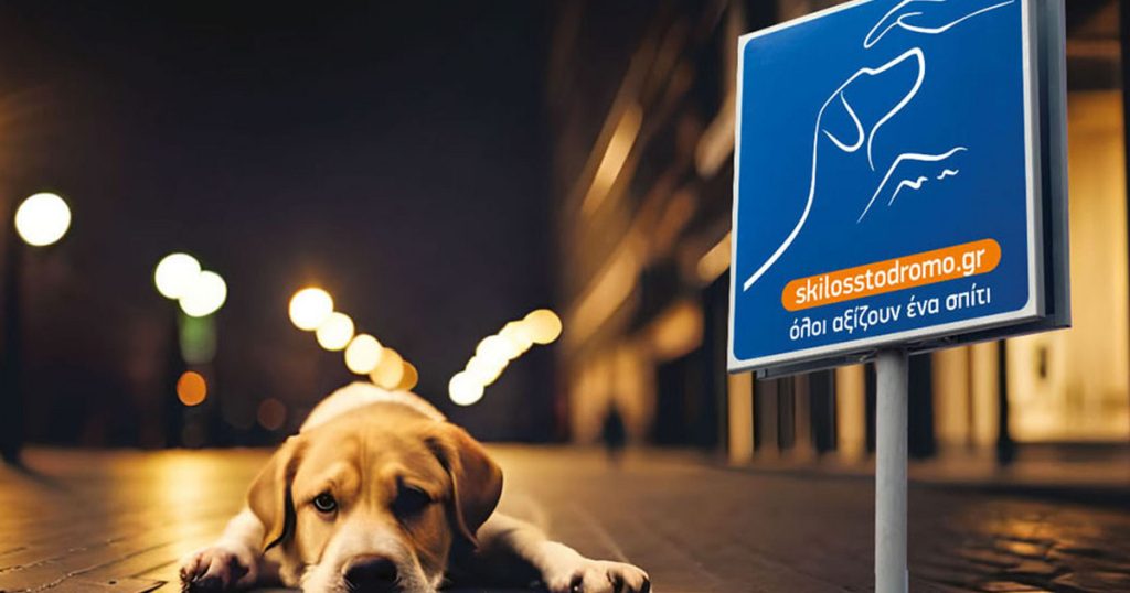 «Σκύλος στο δρόμο»: Μία διαφορετική γιορτή για τα αδέσποτα