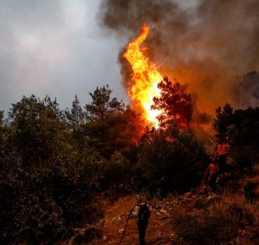Συναγερμός για πυρκαγιά που ξέσπασε στους Δελφούς - «Σηκώθηκαν» αεροσκάφη | in.gr