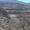 Υπό μερικό έλεγχο τέθηκε η φωτιά στην περιοχή Άγιος Στέφανος στη Μονεμβασιά | in.gr